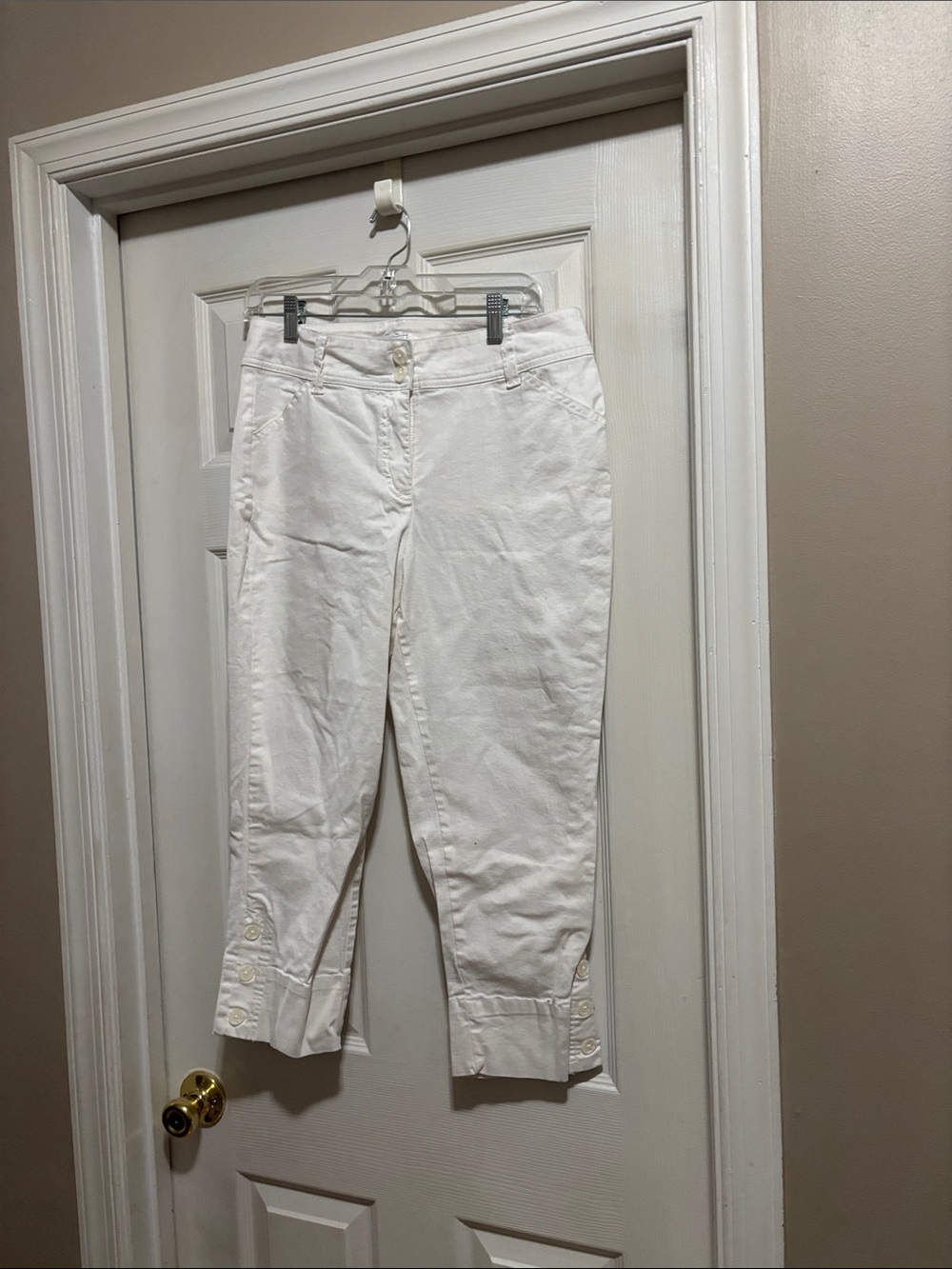 Charter Club White Petite Cotton Blend Pants